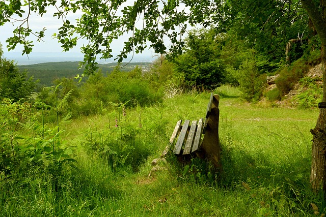 目标需要的 目标需要的