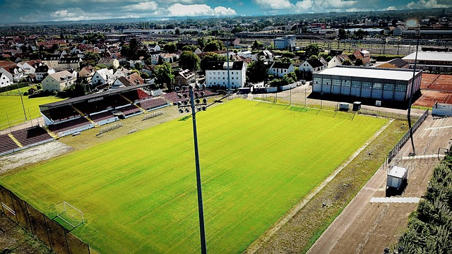 精彩的比赛 精彩的比赛