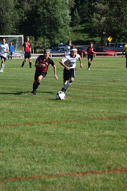 记者不仅可 记者不仅可