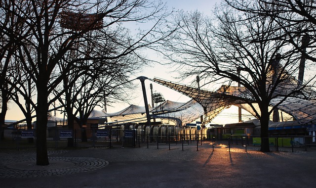 坚持问题导 坚持问题导